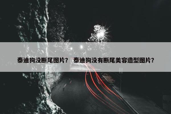 泰迪狗没断尾图片？ 泰迪狗没有断尾美容造型图片？