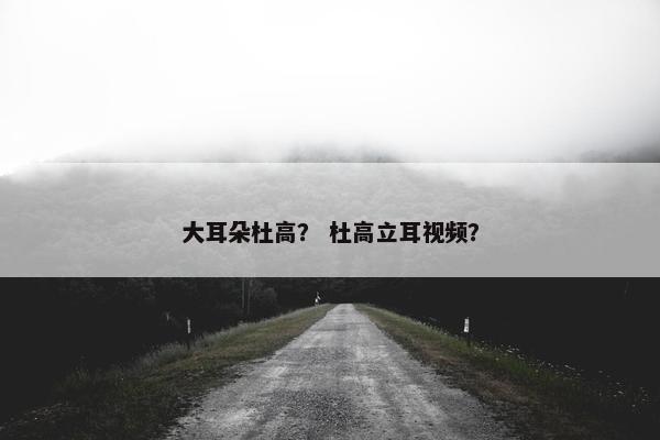大耳朵杜高？ 杜高立耳视频？