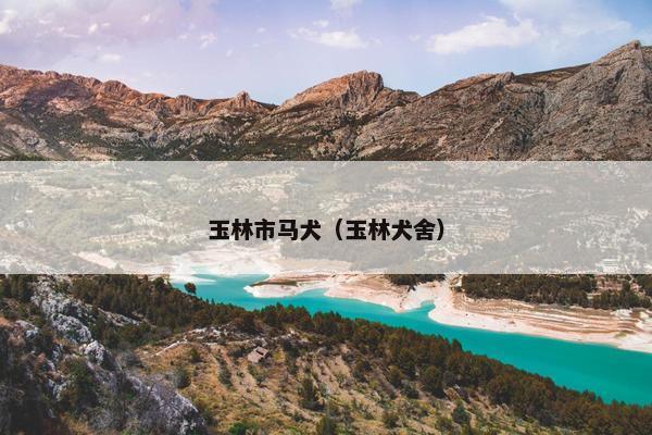 玉林市马犬（玉林犬舍）