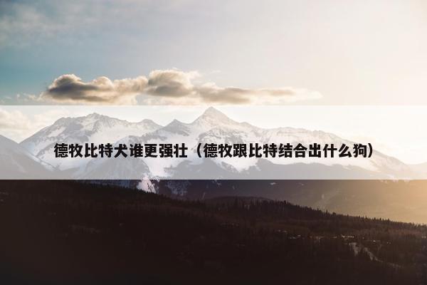 德牧比特犬谁更强壮（德牧跟比特结合出什么狗）