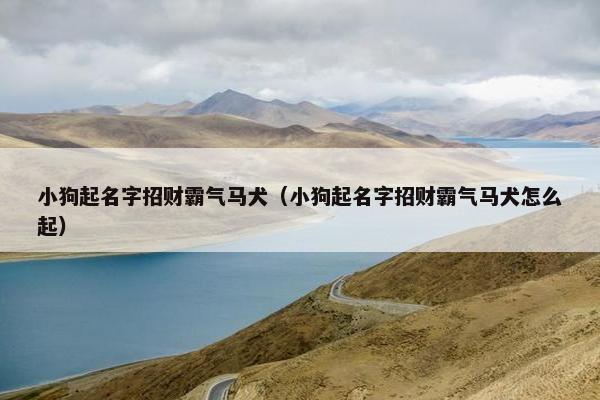 小狗起名字招财霸气马犬（小狗起名字招财霸气马犬怎么起）