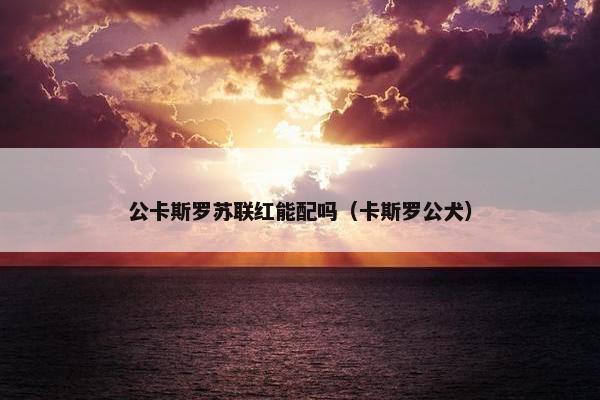公卡斯罗苏联红能配吗（卡斯罗公犬）