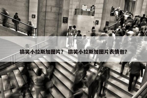 搞笑小拉斯加图片？ 搞笑小拉斯加图片表情包？