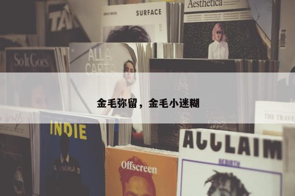 金毛弥留，金毛小迷糊