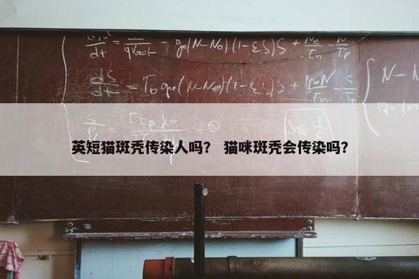 英短猫斑秃传染人吗？ 猫咪斑秃会传染吗？