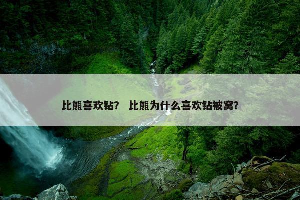 比熊喜欢钻？ 比熊为什么喜欢钻被窝？