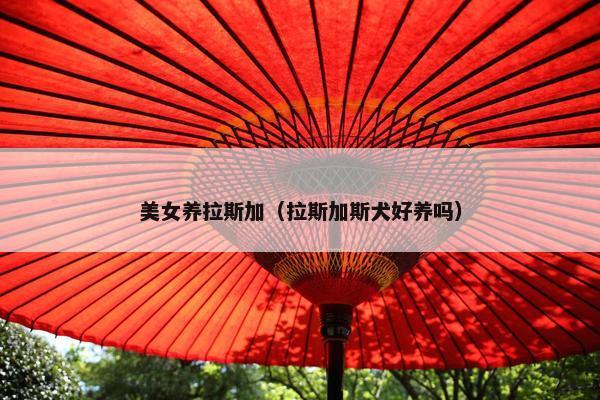 美女养拉斯加（拉斯加斯犬好养吗）
