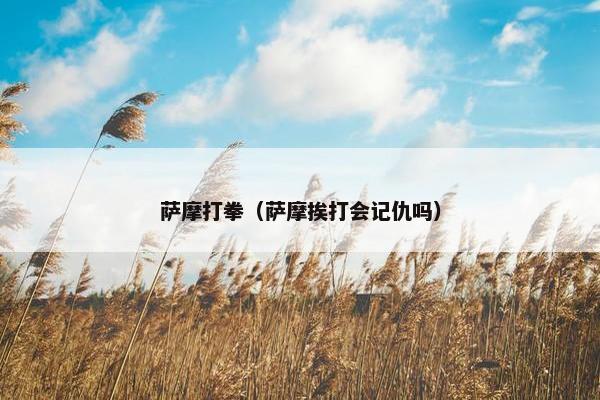 萨摩打拳（萨摩挨打会记仇吗）