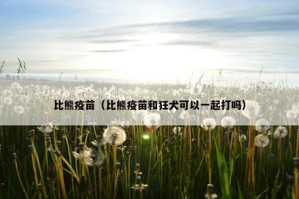 比熊疫苗（比熊疫苗和狂犬可以一起打吗）