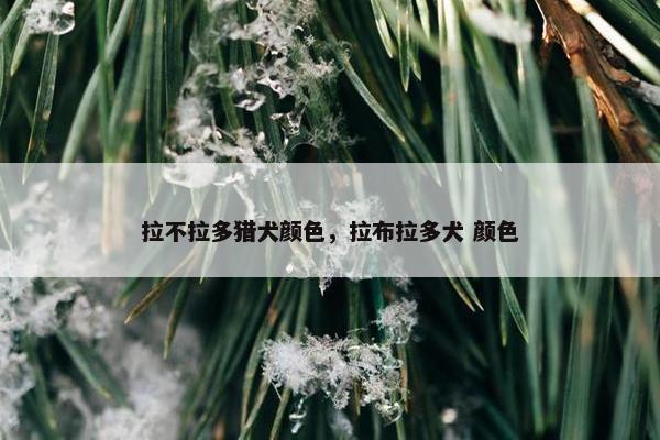 拉不拉多猎犬颜色，拉布拉多犬 颜色