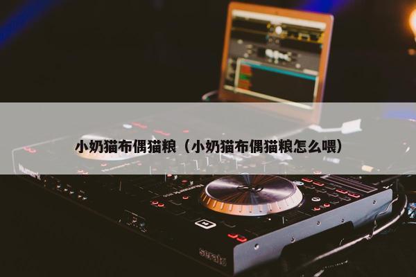 小奶猫布偶猫粮（小奶猫布偶猫粮怎么喂）