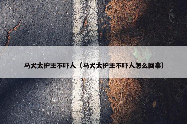 马犬太护主不吓人（马犬太护主不吓人怎么回事）