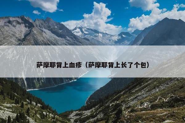 萨摩耶背上血疹（萨摩耶背上长了个包）