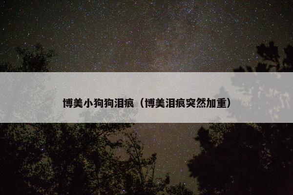 博美小狗狗泪痕（博美泪痕突然加重）