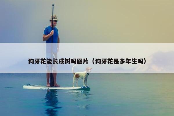 狗牙花能长成树吗图片（狗牙花是多年生吗）