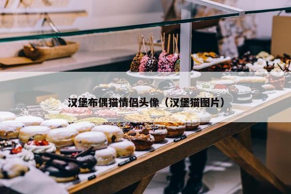 汉堡布偶猫情侣头像（汉堡猫图片）