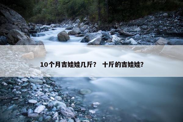 10个月吉娃娃几斤？ 十斤的吉娃娃？