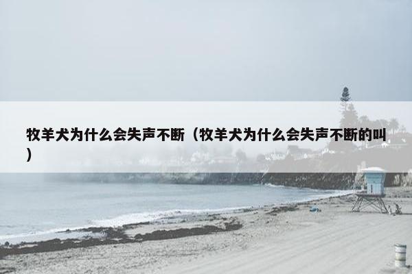 牧羊犬为什么会失声不断（牧羊犬为什么会失声不断的叫）