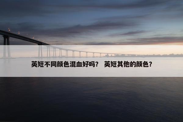 英短不同颜色混血好吗？ 英短其他的颜色？