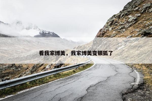 看我家博美，我家博美变银狐了