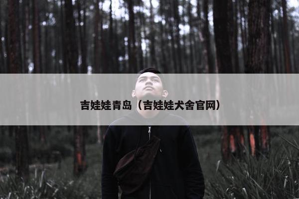 吉娃娃青岛（吉娃娃犬舍官网）