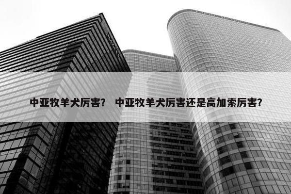 中亚牧羊犬厉害？ 中亚牧羊犬厉害还是高加索厉害？