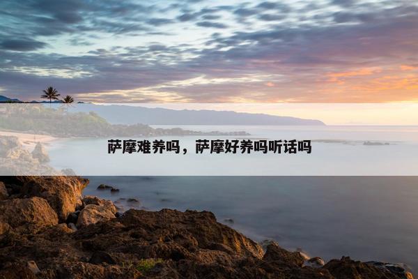 萨摩难养吗，萨摩好养吗听话吗