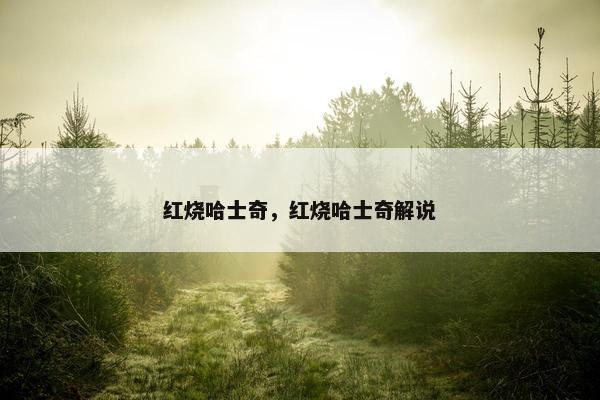 红烧哈士奇，红烧哈士奇解说