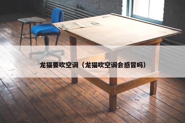 龙猫要吹空调（龙猫吹空调会感冒吗）