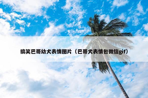搞笑巴哥幼犬表情图片（巴哥犬表情包微信gif）
