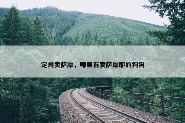 定州卖萨摩，哪里有卖萨摩耶的狗狗