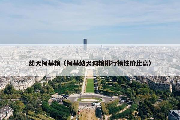 幼犬柯基粮（柯基幼犬狗粮排行榜性价比高）