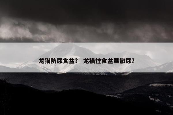 龙猫防尿食盆？ 龙猫往食盆里撒尿？