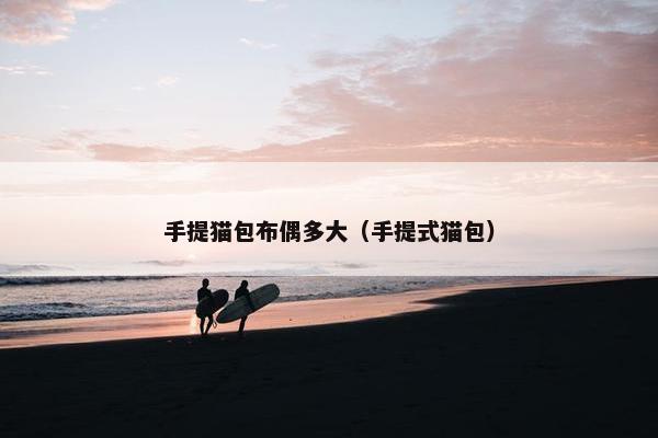 手提猫包布偶多大（手提式猫包）
