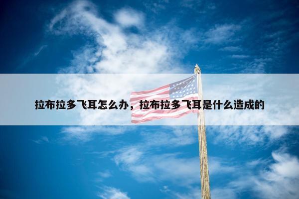 拉布拉多飞耳怎么办，拉布拉多飞耳是什么造成的