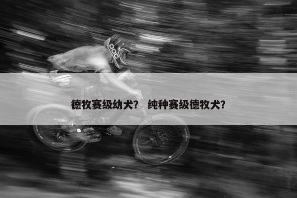 德牧赛级幼犬？ 纯种赛级德牧犬？