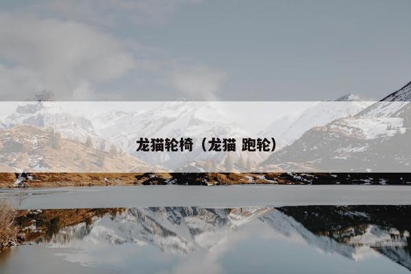 龙猫轮椅（龙猫 跑轮）