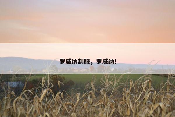 罗威纳制服，罗威纳!