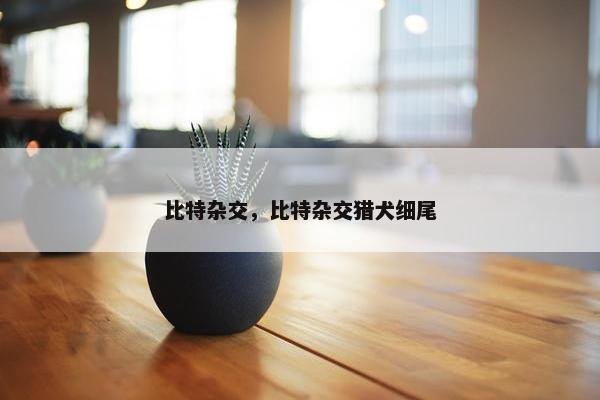 比特杂交，比特杂交猎犬细尾
