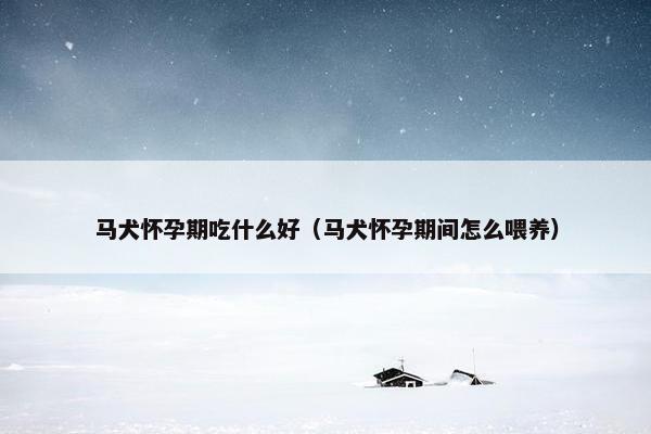 马犬怀孕期吃什么好（马犬怀孕期间怎么喂养）