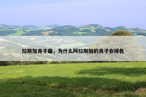 拉斯加鼻子扁，为什么阿拉斯加的鼻子会掉色