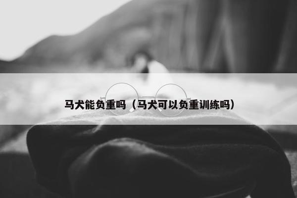 马犬能负重吗（马犬可以负重训练吗）