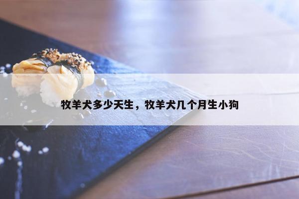 牧羊犬多少天生，牧羊犬几个月生小狗