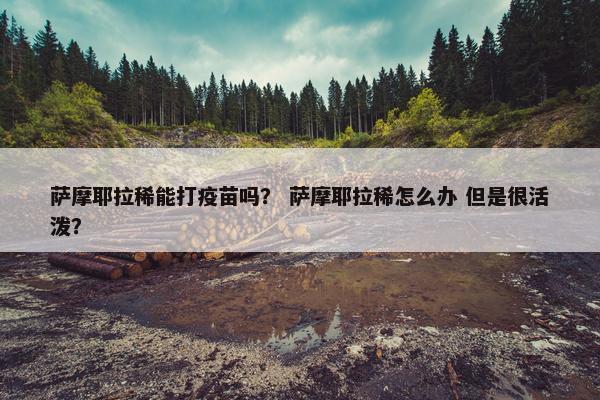 萨摩耶拉稀能打疫苗吗？ 萨摩耶拉稀怎么办 但是很活泼？
