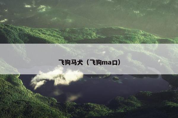 飞狗马犬（飞狗ma口）