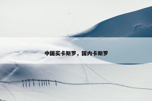 中国买卡斯罗，国内卡斯罗