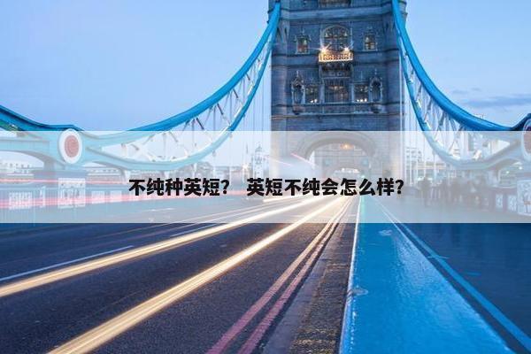 不纯种英短？ 英短不纯会怎么样？