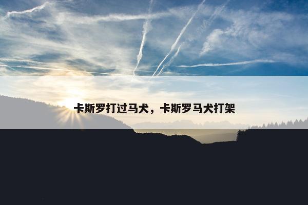 卡斯罗打过马犬，卡斯罗马犬打架