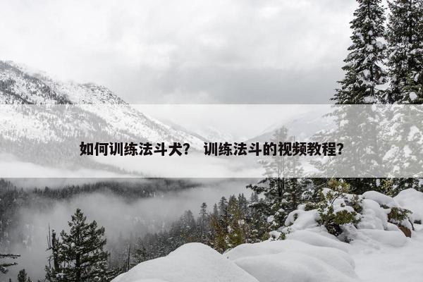 如何训练法斗犬？ 训练法斗的视频教程？