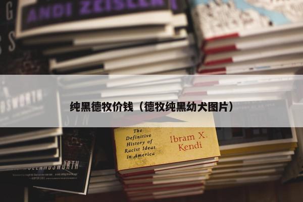 纯黑德牧价钱（德牧纯黑幼犬图片）